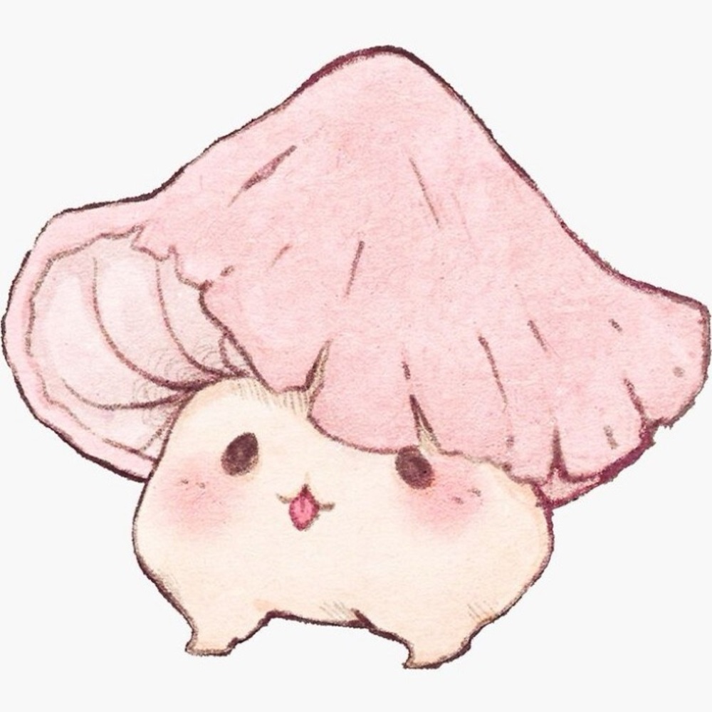 Meet your Posher, Camryn